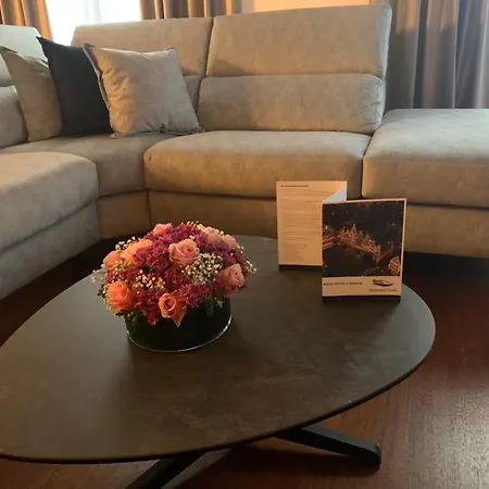 Botanique Airbnb, アパート